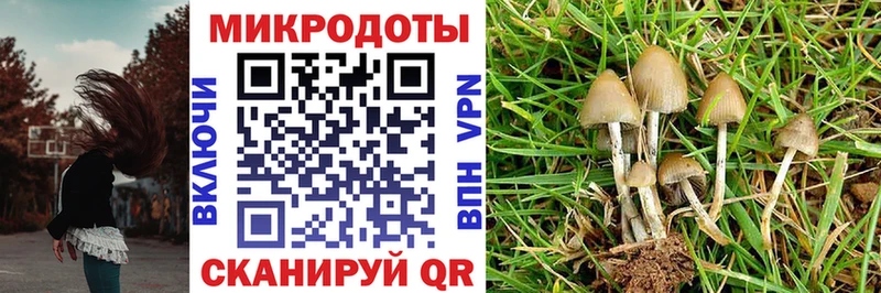 Псилоцибиновые грибы ЛСД Кудымкар